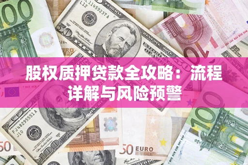 北京股权质押贷款全攻略：流程详解与风险预警