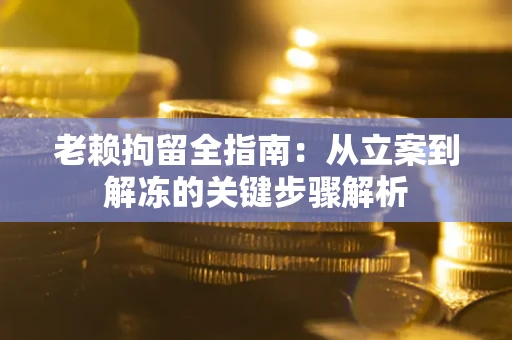 北京老赖拘留全指南：从立案到解冻的关键步骤解析