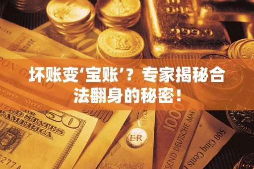 北京坏账变‘宝账’？专家揭秘合法翻身的秘密！